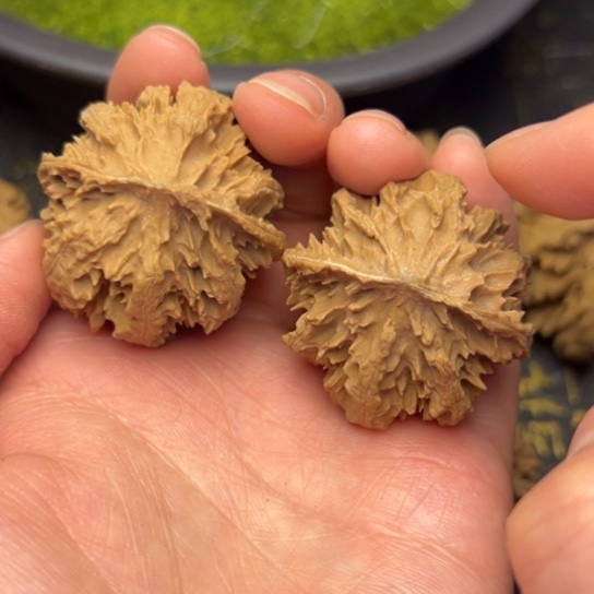 文玩核桃把件秦岭核桃10