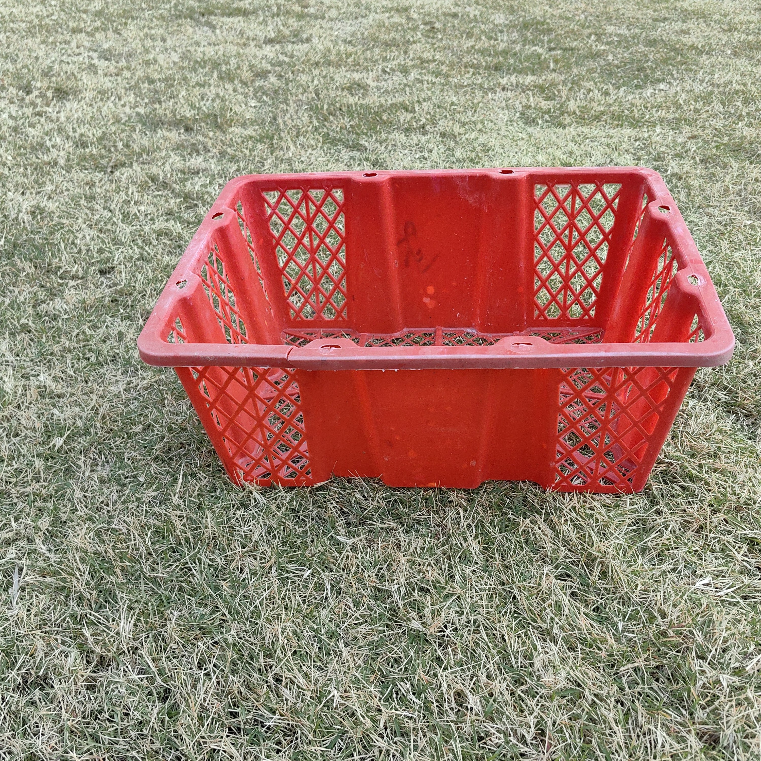 新店 腾欣狮头出壳专用塑料筐套餐大号室内6个装长方形