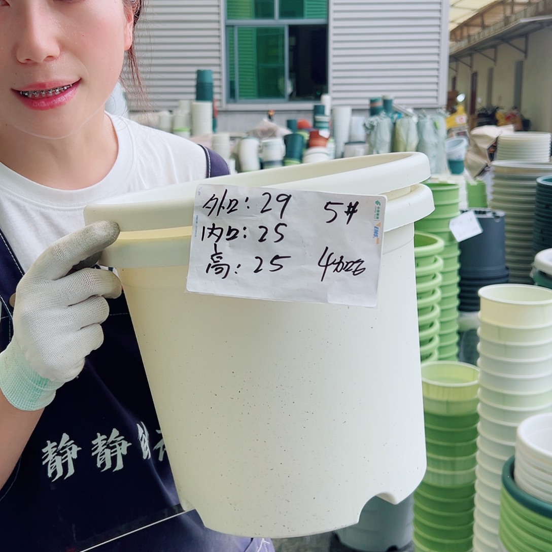 四季盆5#白色6个无托