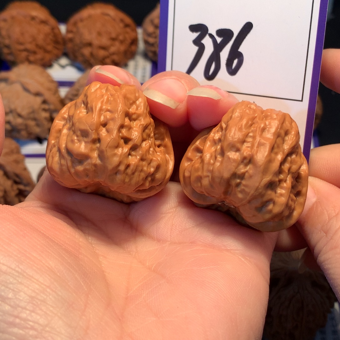 核桃386蛤蟆头3.5