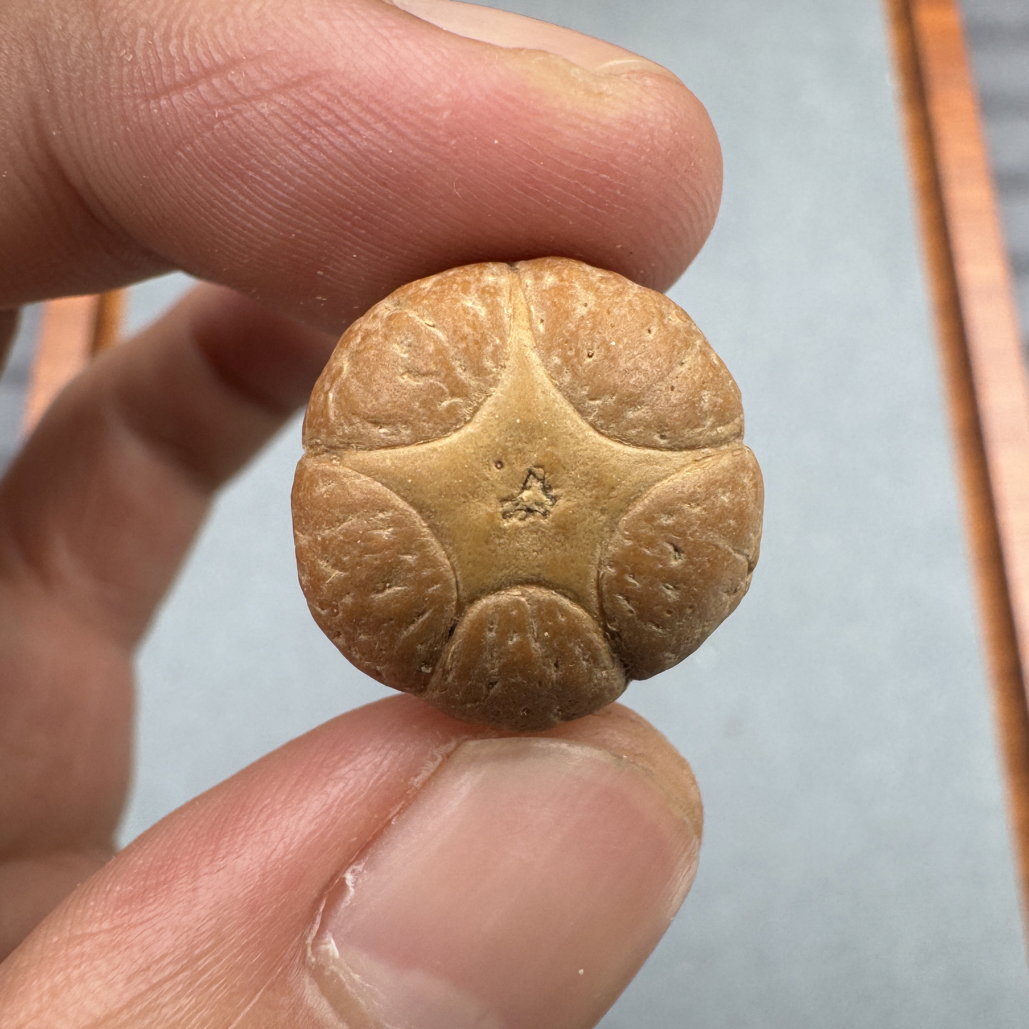 18+五星菩提凤眼手串三通佛头，红皮金眼高油高密