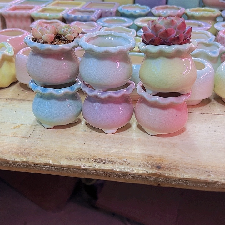 陶瓷花盆当场凑满12包邮