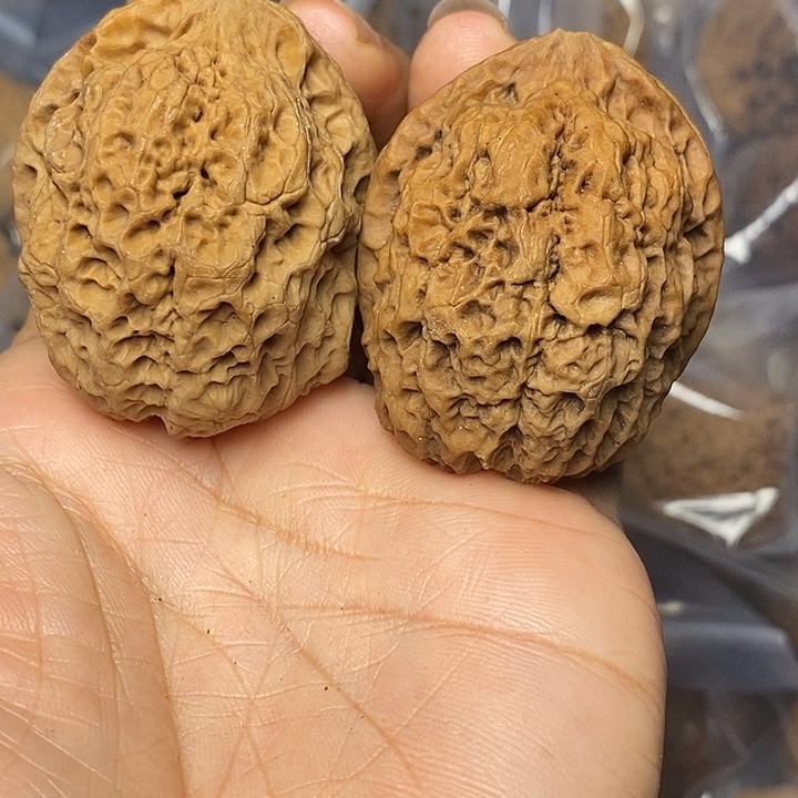 文玩核桃把件云南铁核桃38