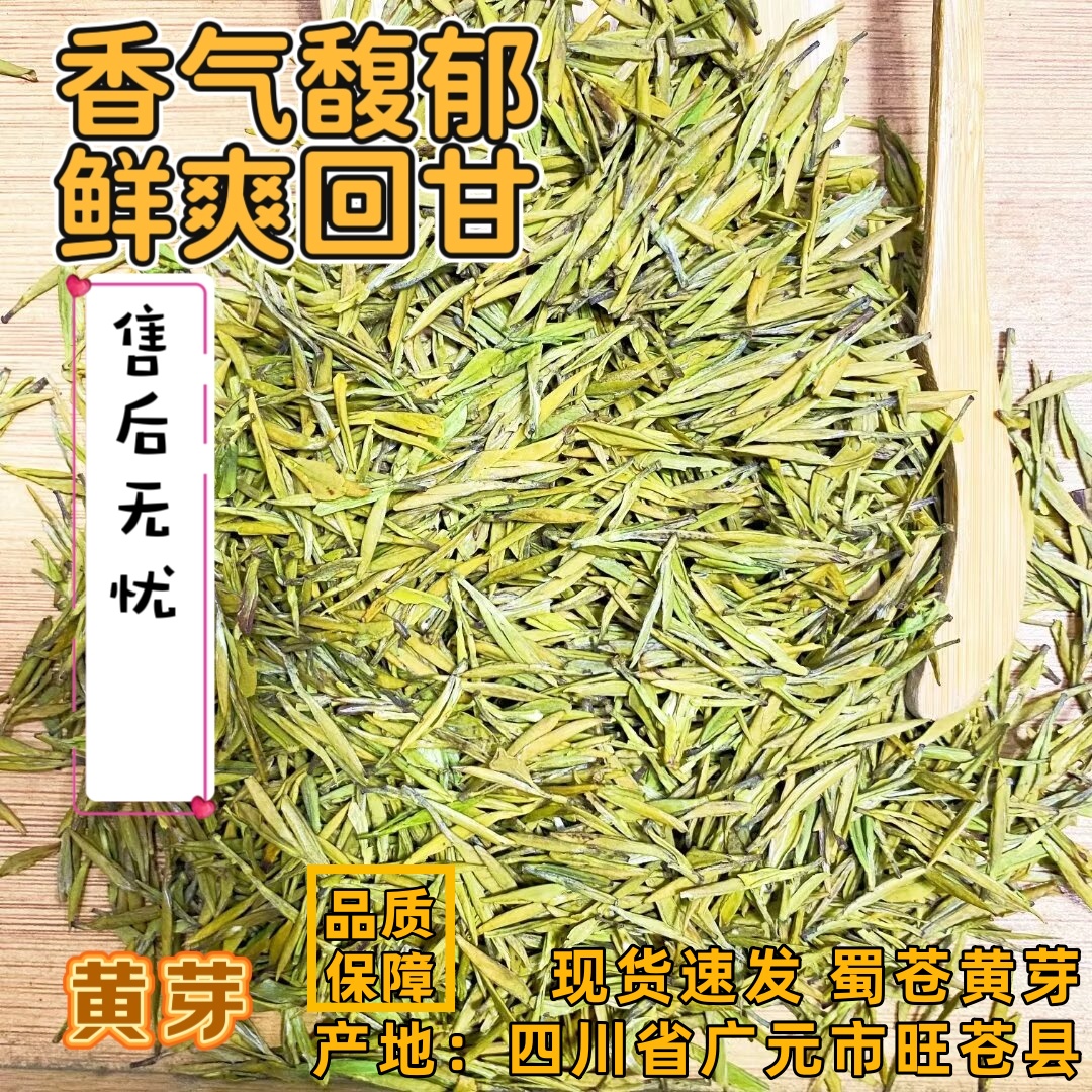  蜀苍黄芽 四川省广元市旺苍县明前黄金芽  高山云雾绿茶现货速发