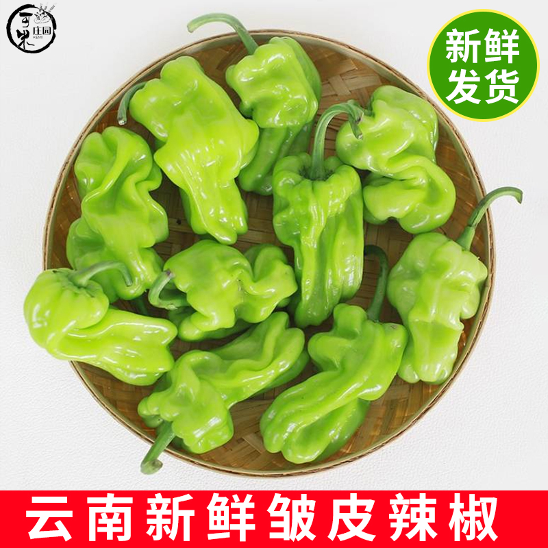 云南新鲜皱皮辣椒虎皮辣椒青辣椒辣味清脆新鲜蔬菜圆椒包邮