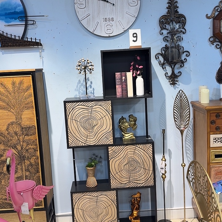 有机玻璃铁木柜子