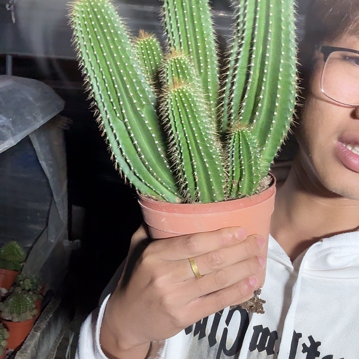 ****无花朵大疯龙哈哈哈哈哈哈