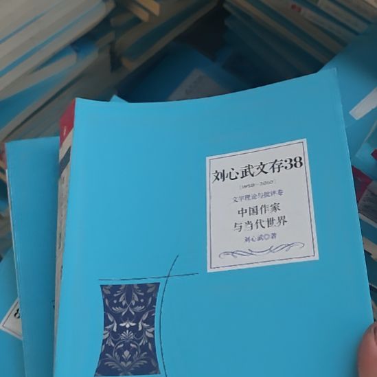 刘心武文存中国作家与当代世界。