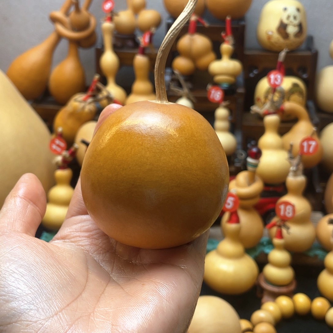 清**语大自然的秘密第十一节你是