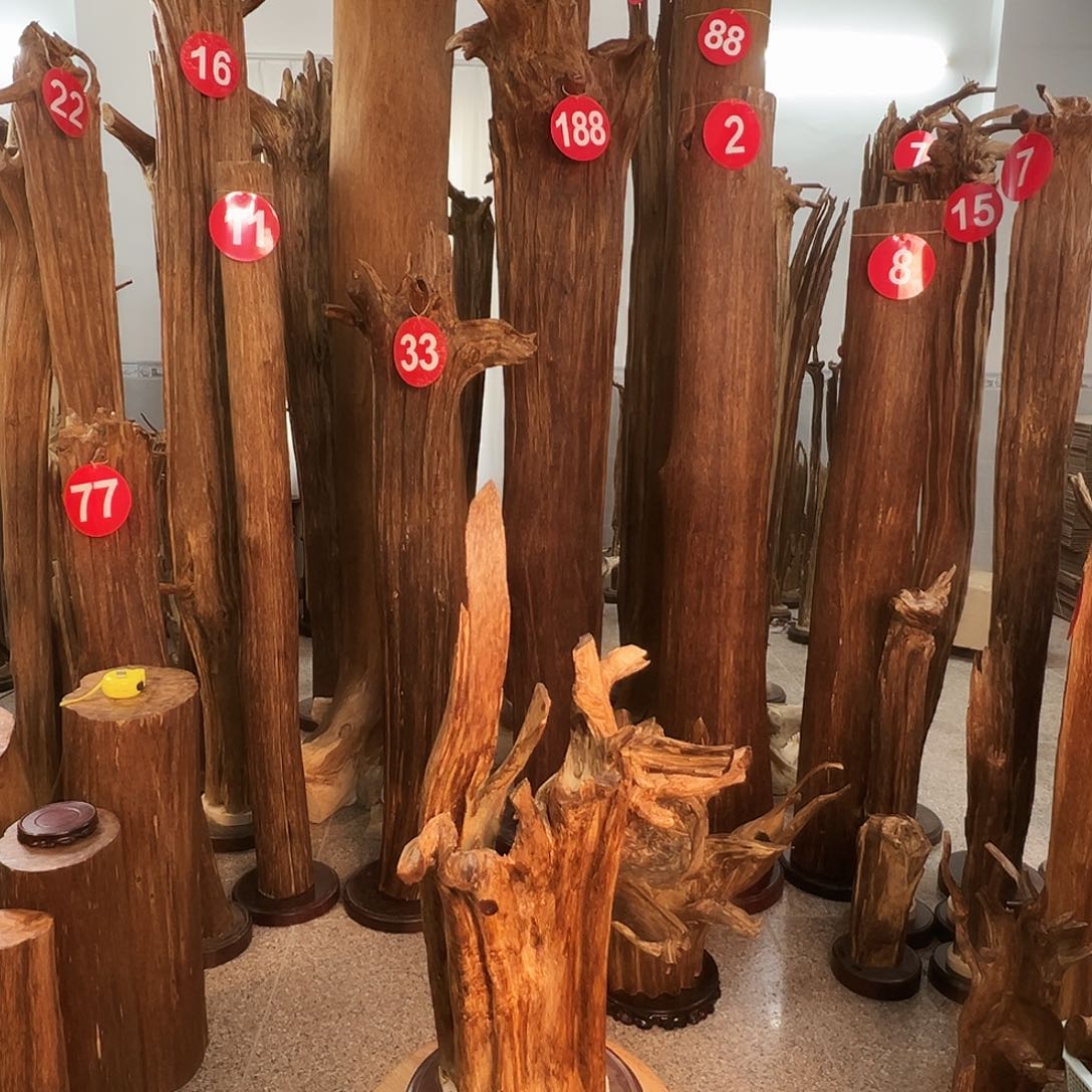 胡***树沉香沉香碎屑沉香原料H