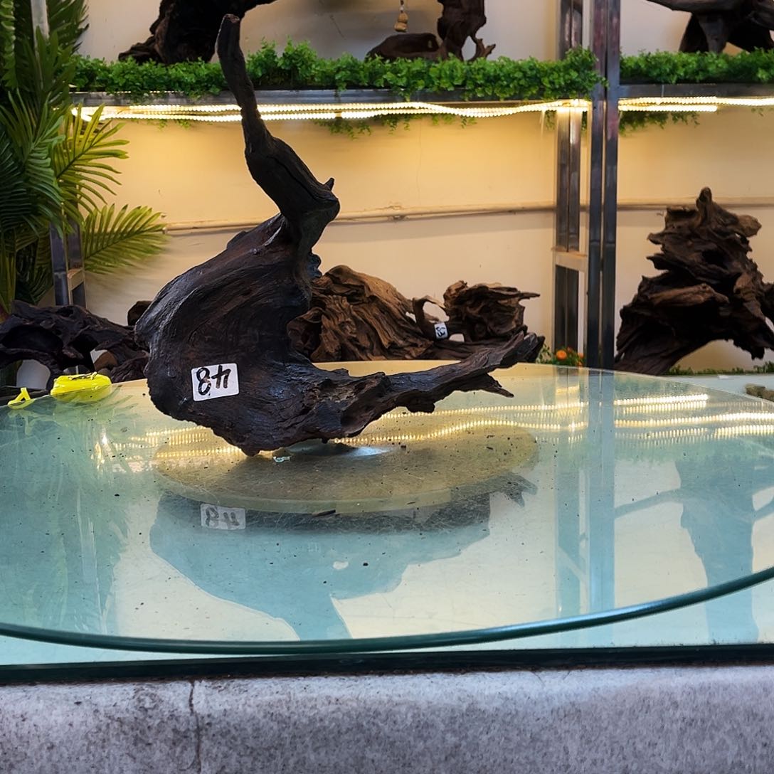 柚木沉木鱼缸造景