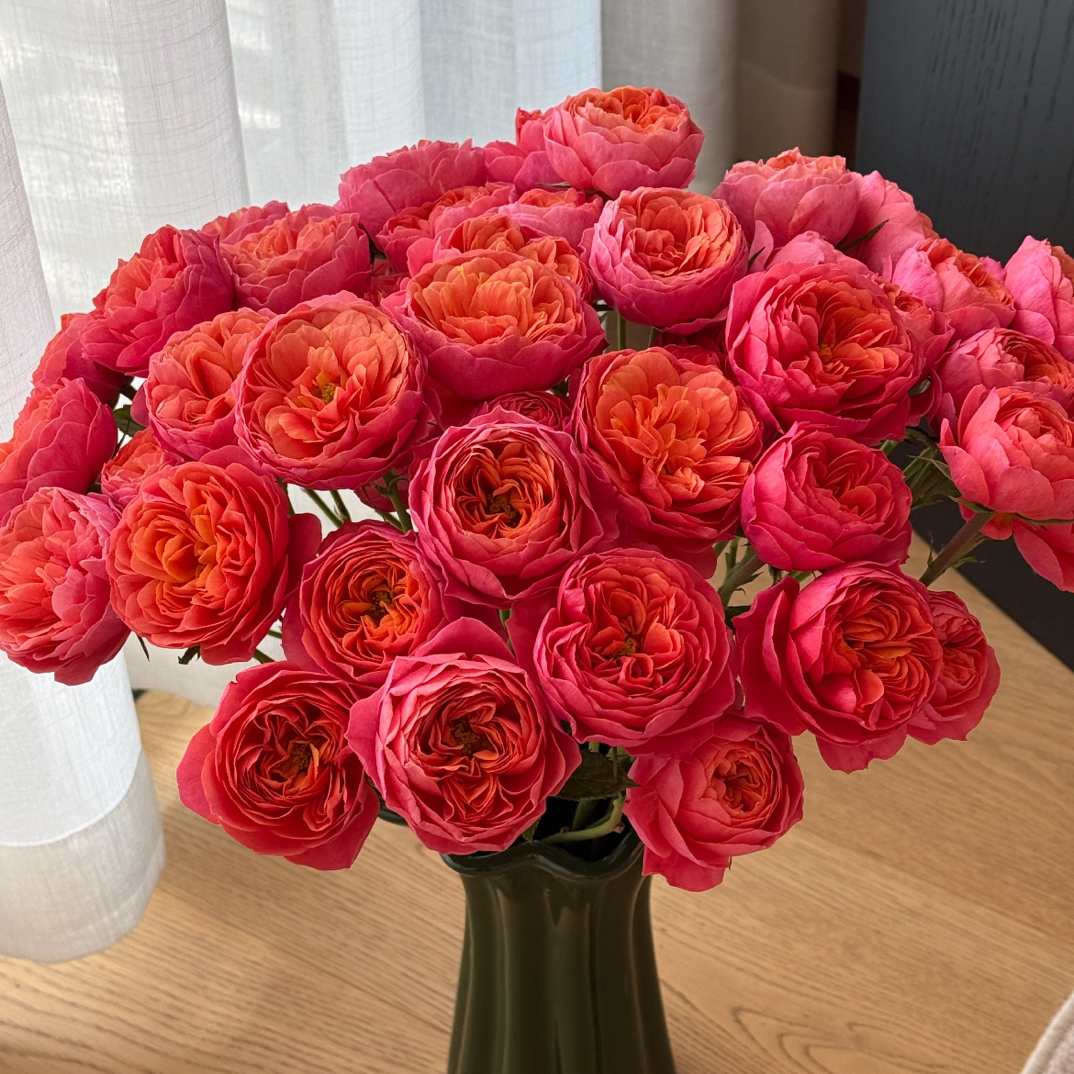 【新品红果汁玫瑰10支】买一送一（10%不售后）