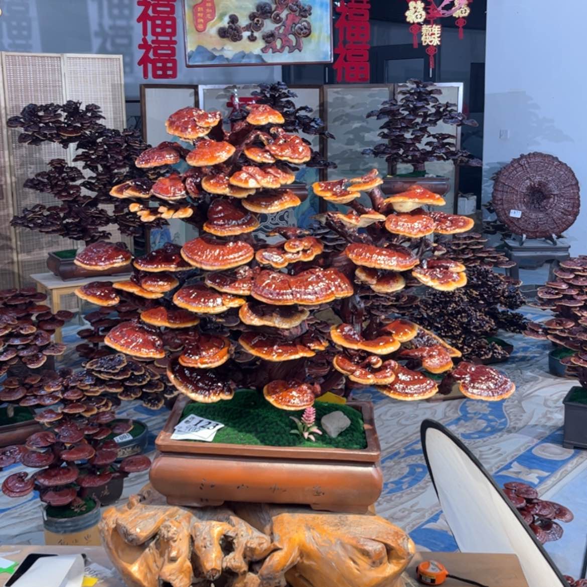 【闪购商品】88888