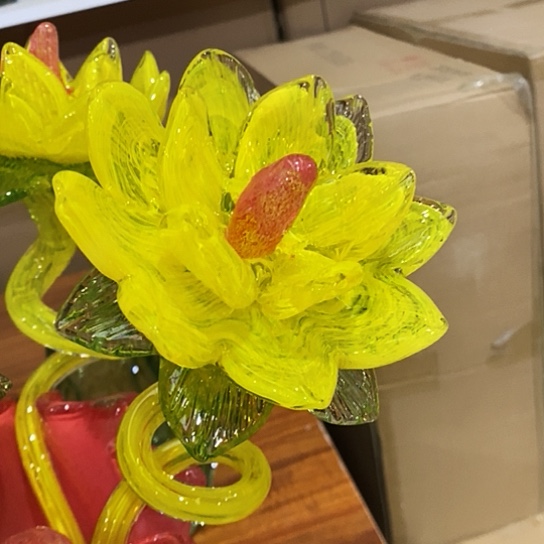 琉璃夜光花高45厘米