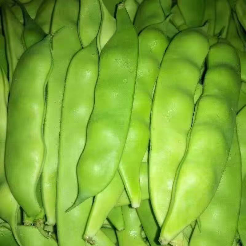 黑龙江油豆角紫花一点红品种开锅即烂新鲜蔬菜3斤顺丰生鲜包邮