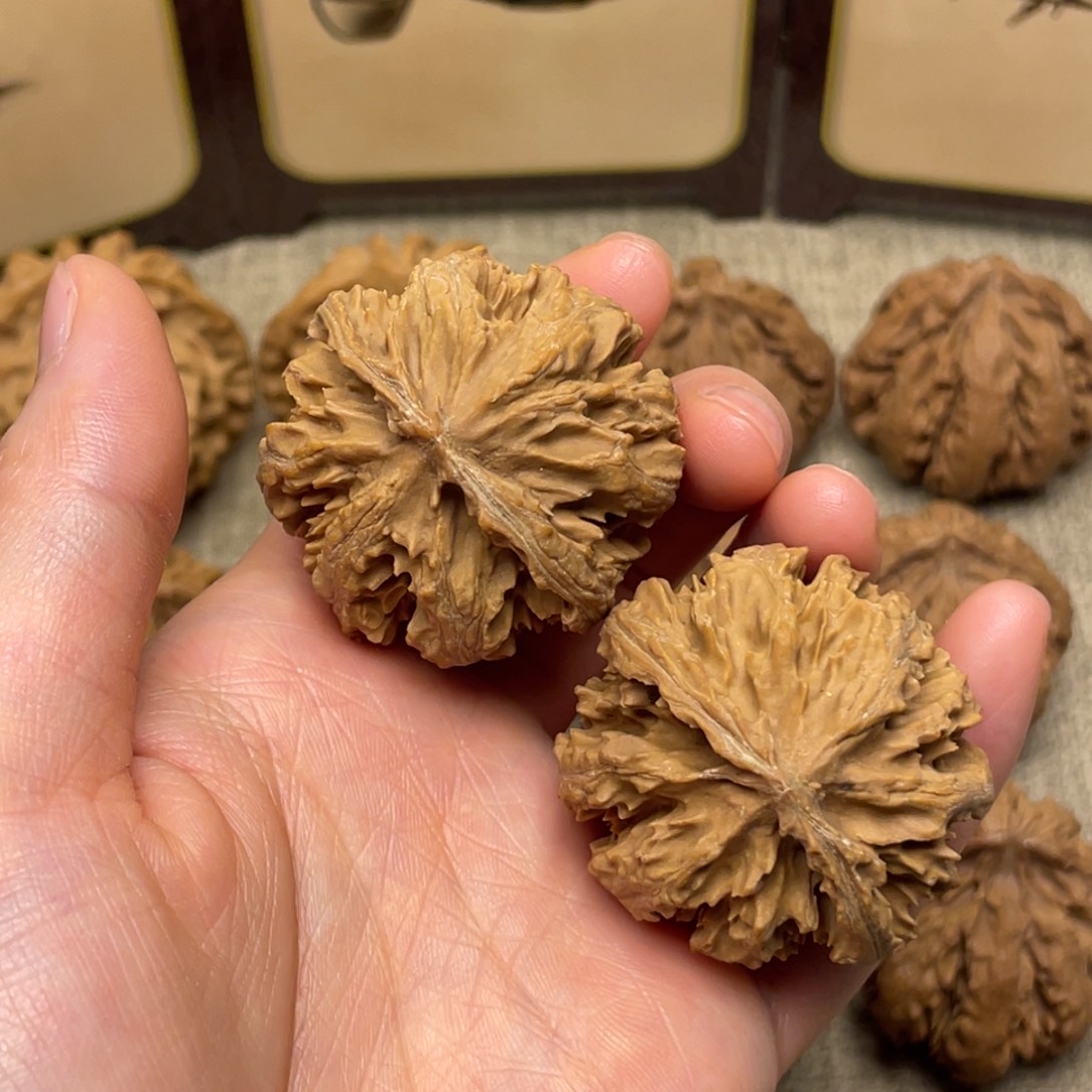 R***r文玩核桃把件秦岭核桃7号