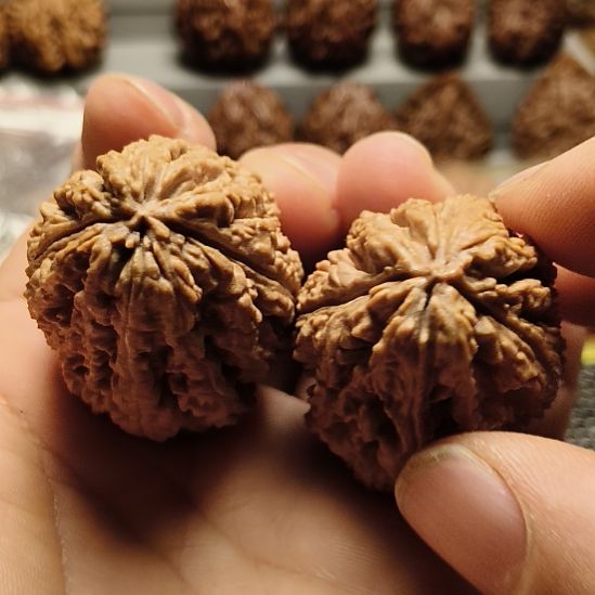 璨***璨文玩核桃吊坠大楸核桃8号