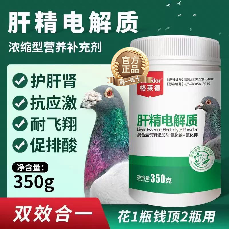 【肝精电解质】鸽子补肝肾二合一补维生素补能量氨基酸排毒排酸