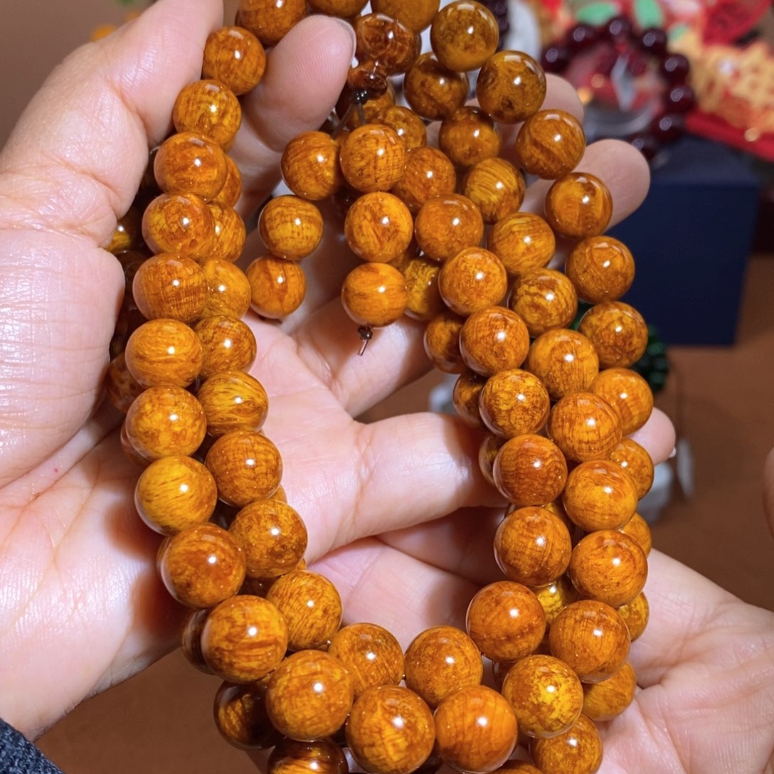 贝壳杉1.0爆满留疤顶品