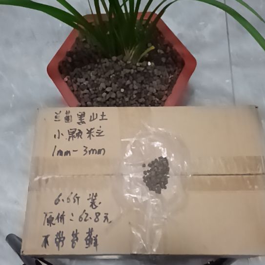 胡***妹兰菌黑山土小颗粒6.6斤