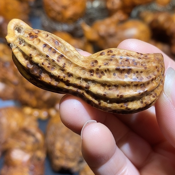 柏木太行崖柏陈化