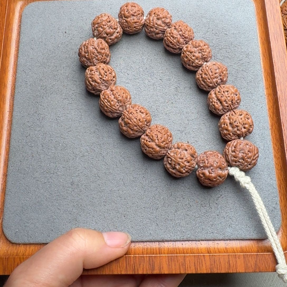 菩提菩提4号尼泊尔大金刚19+/20爆肉