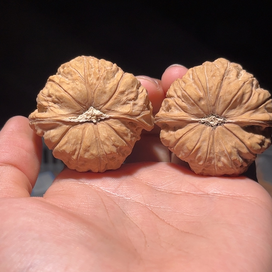 文玩核桃吊坠151南瓜47全品