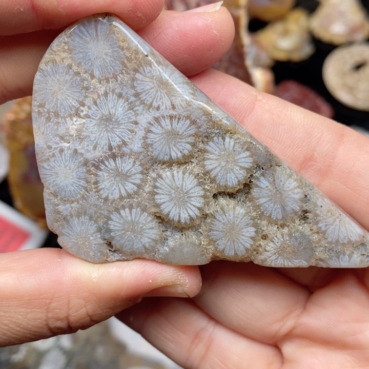 硅化珊瑚（珊瑚玉）手镯未镶嵌