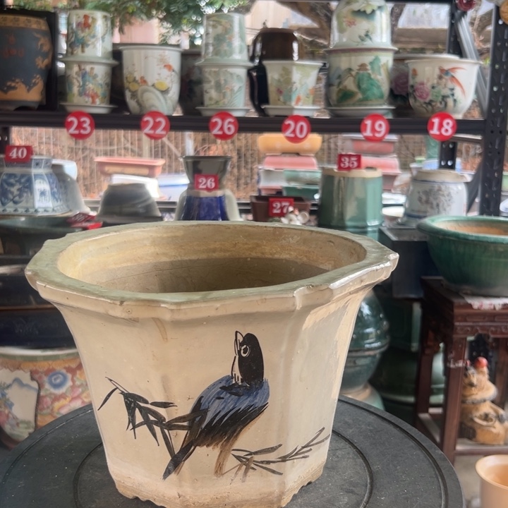 葱***腐我们的生活是以一颗感恩