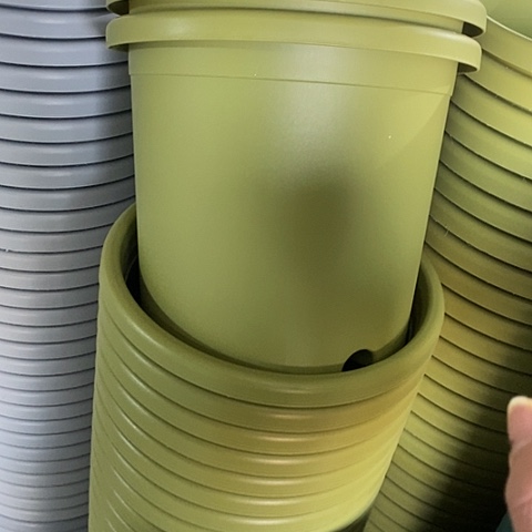 树脂特价4号10个无托果绿