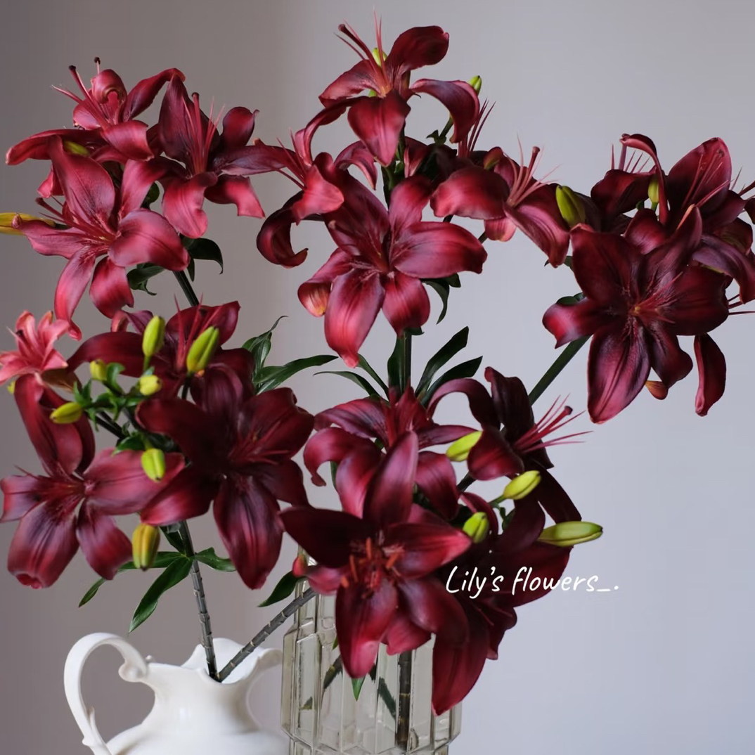 黑石多头无香亚百合 颜色高级 花期超长五支装