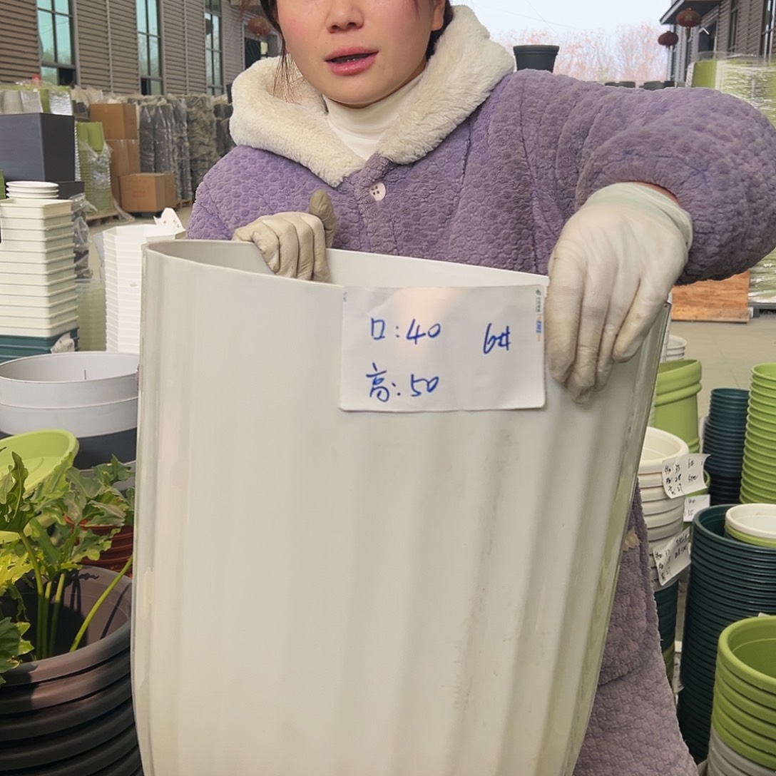 瑕疵竖纹6#白色4个无托