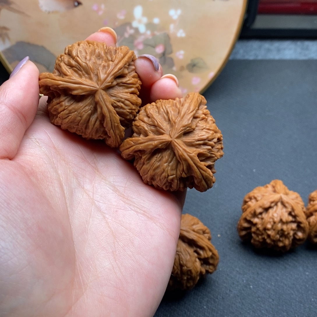 g****o白狮子1111111111