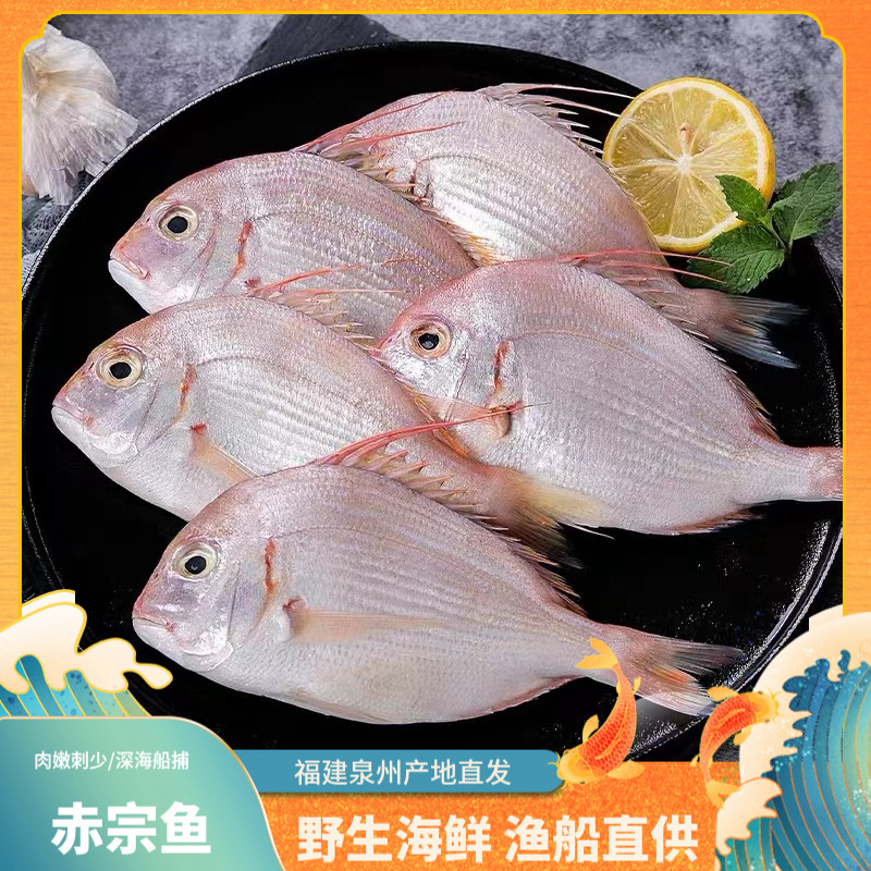 【大赤宗鱼】冻品清仓没有售后介意不要拍