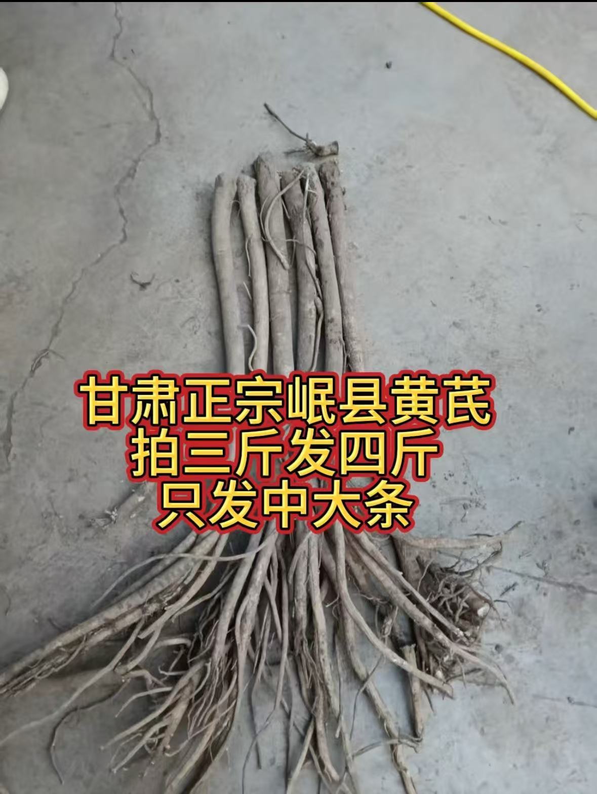 甘肃岷县新鲜现挖黄芪整条可煲汤泡水炖肉原味滋补