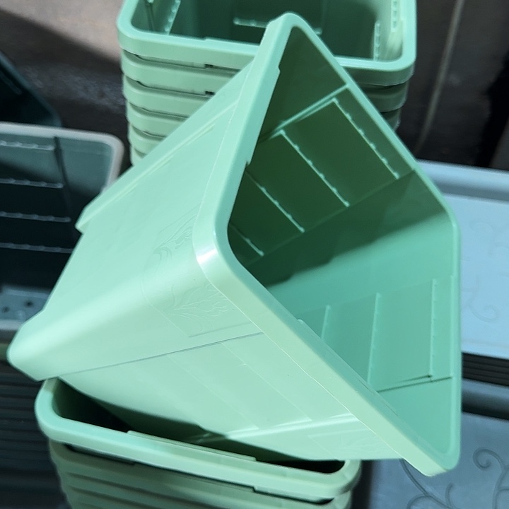 编号103果绿无托10个