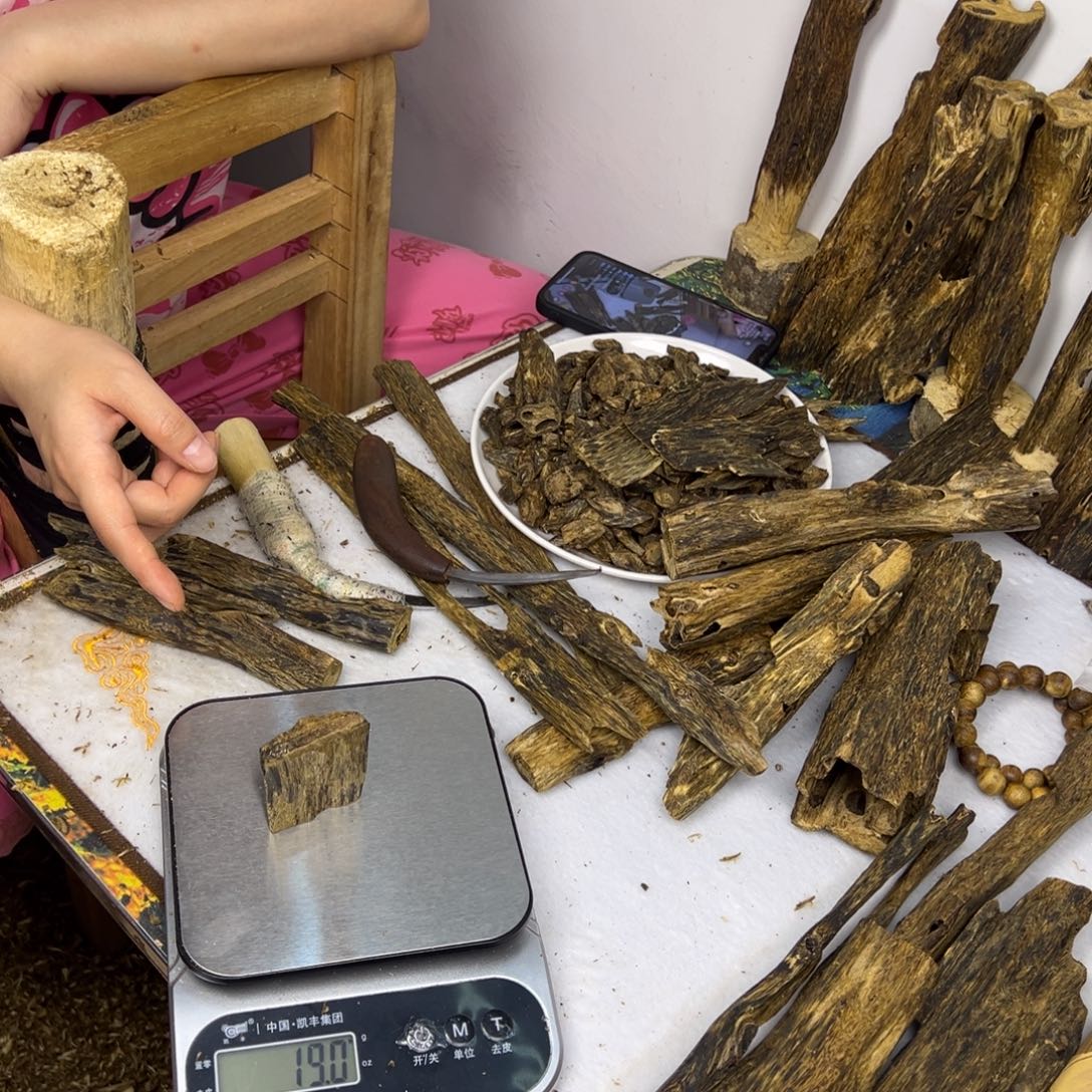 线香奇楠虫漏香19克