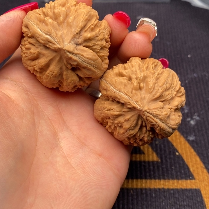 海***拍文玩核桃把件霸王龙