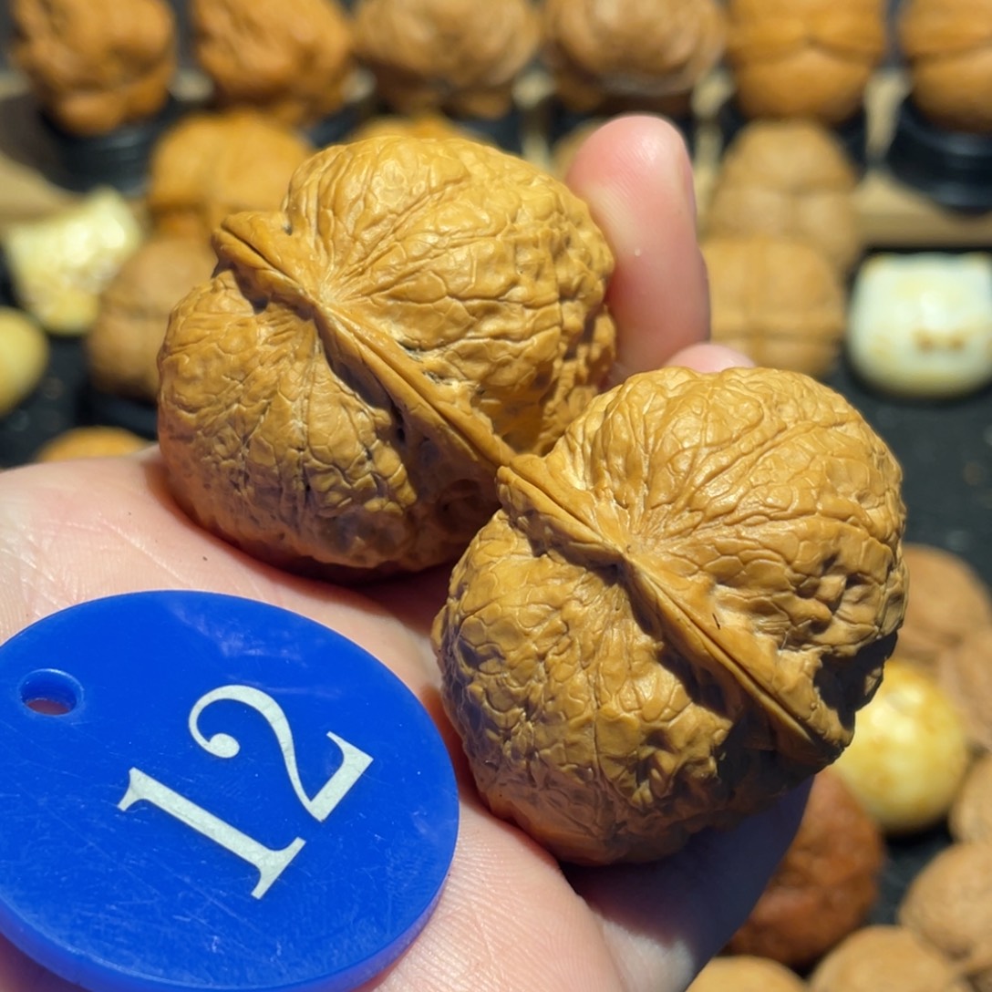 罗汉头核桃42。   