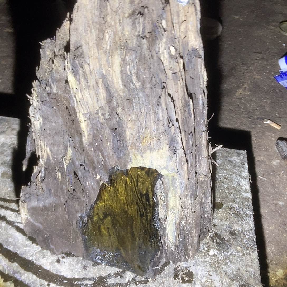 冰*金丝楠阴沉木毛料