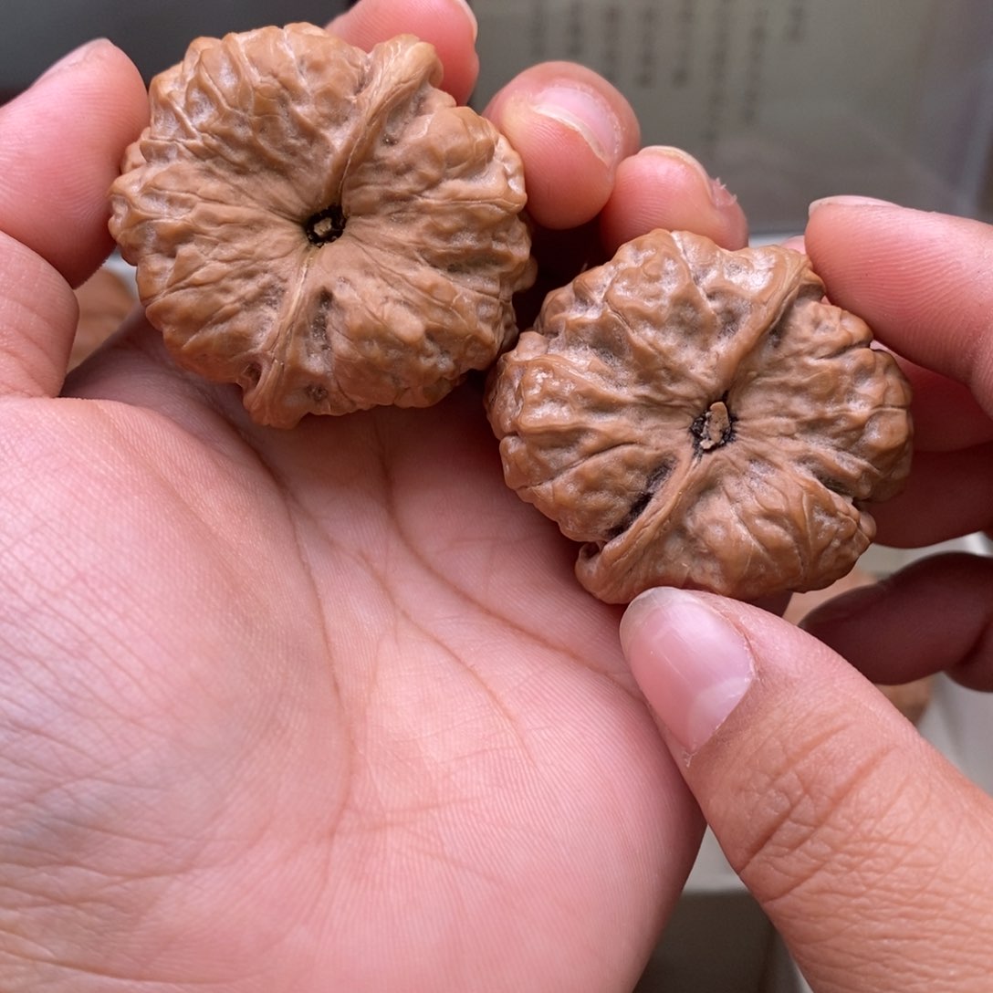 文玩核桃把件39蛤蟆头113