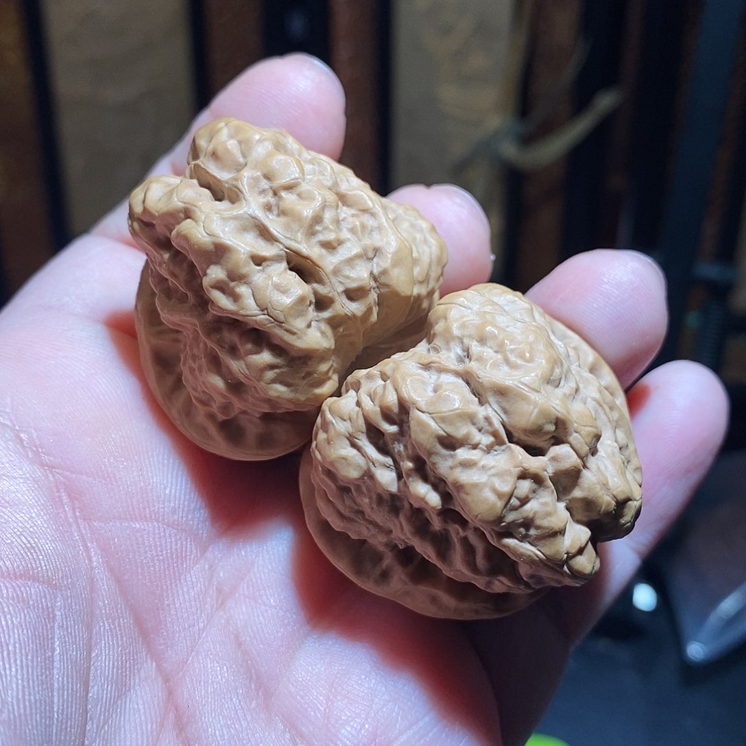 文玩核桃把件43肚蛤蟆头