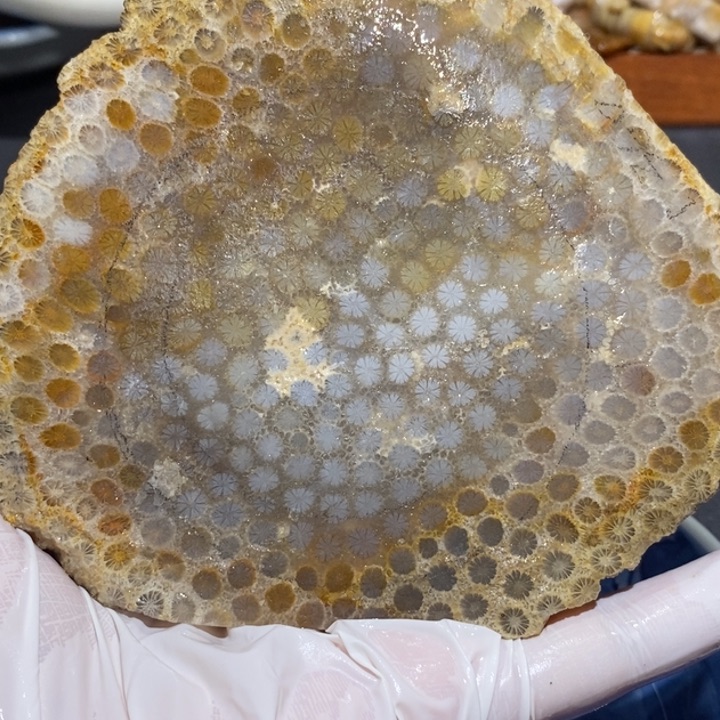 【闪购商品】未镶嵌珊瑚玉硅化玉