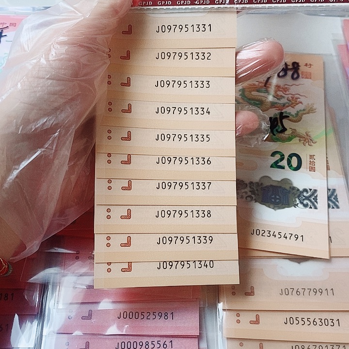 塑料龙钞标十097951331豹子号333