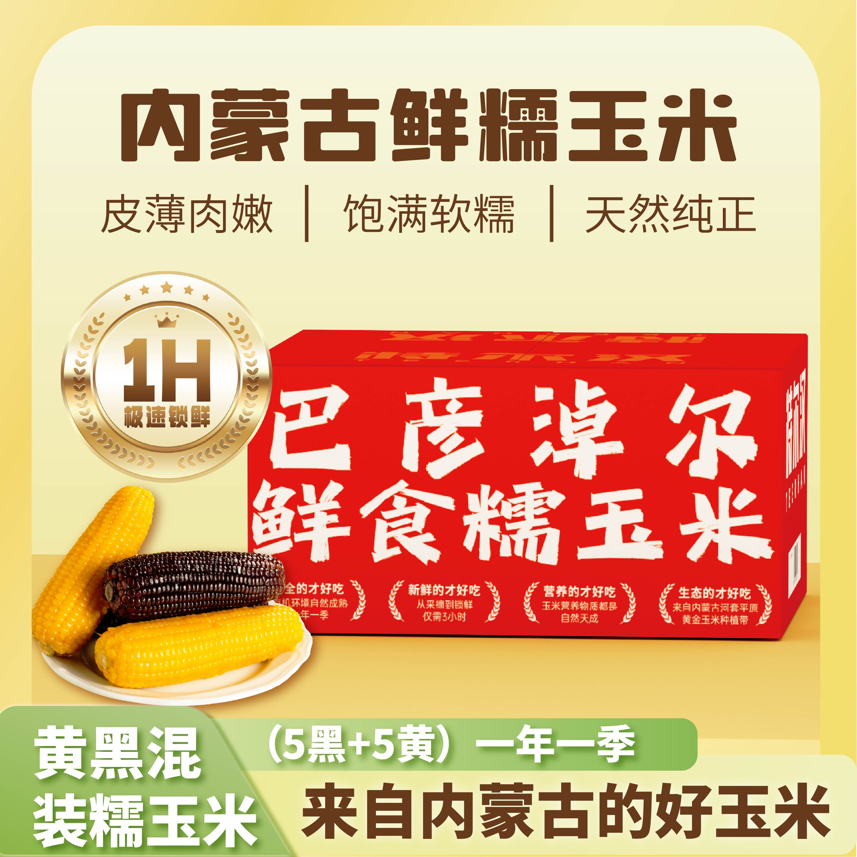 内蒙古黄糯黑糯各五支单支240g香甜软糯到手十支黄糯玉米黑糯玉米内蒙古自治区