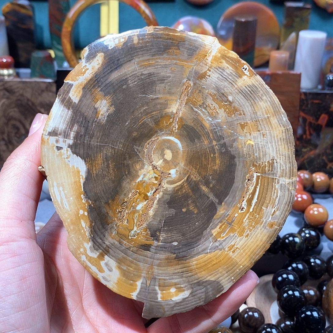 硅化玉天然北票硅化玉原石未镶嵌天然北票硅化玉原石