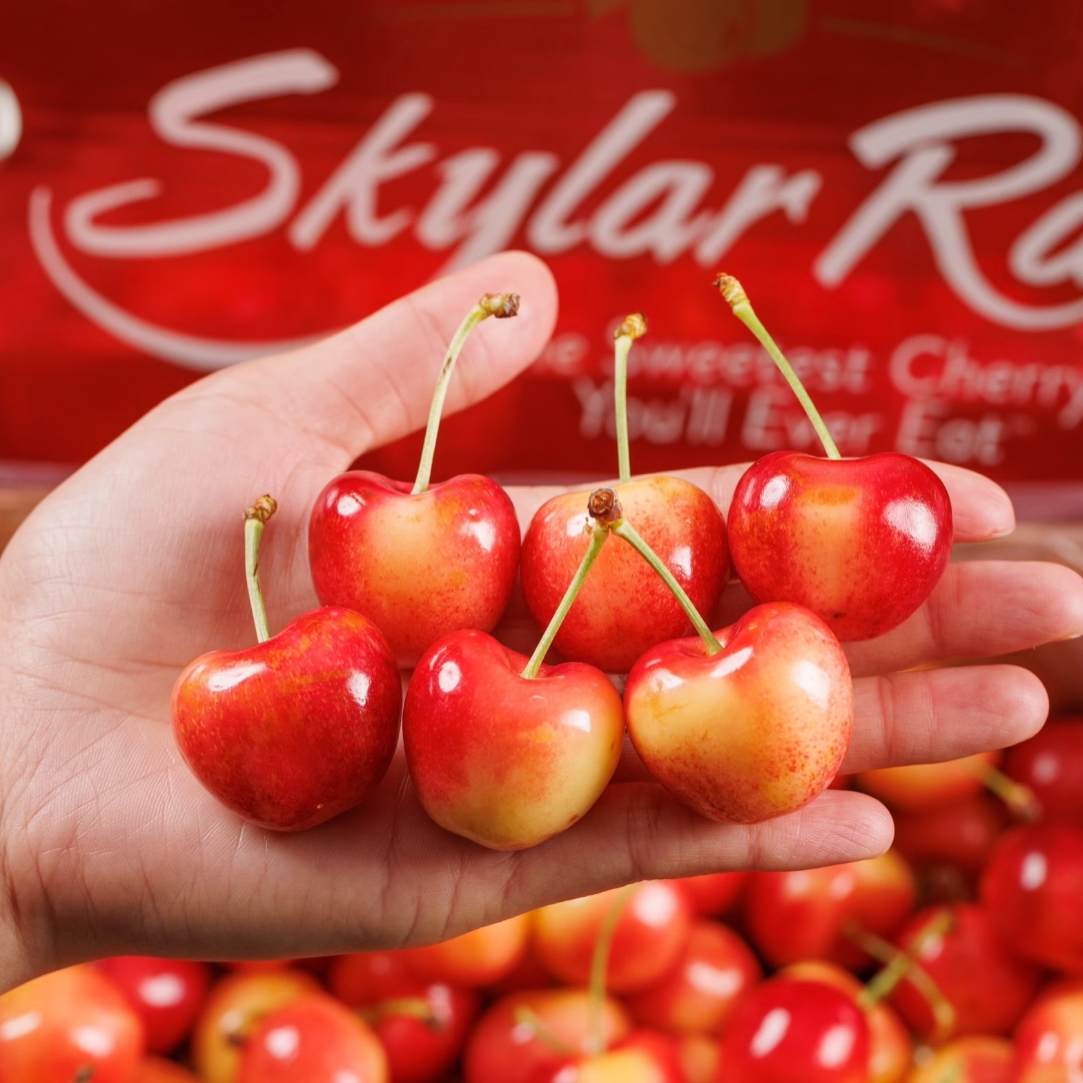 斯凯拉雷天空之城黄金车厘子智利空运硬脆甜顺丰J-4J内附果径卡