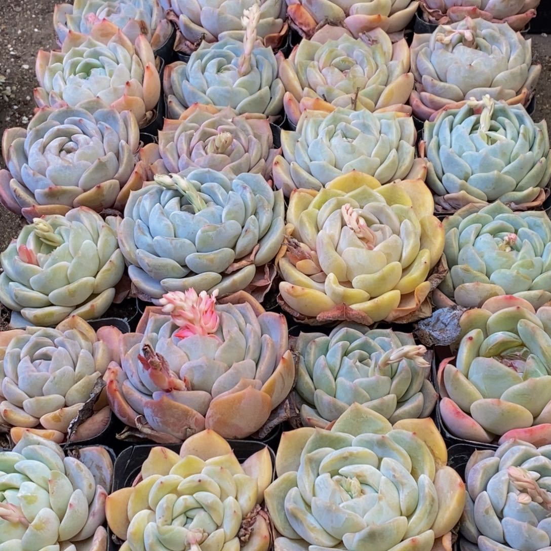 279的人在一起的时候