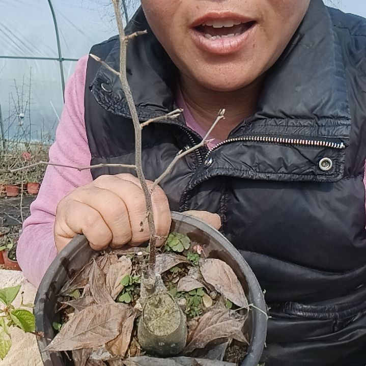 自***强无花朵1566788880999