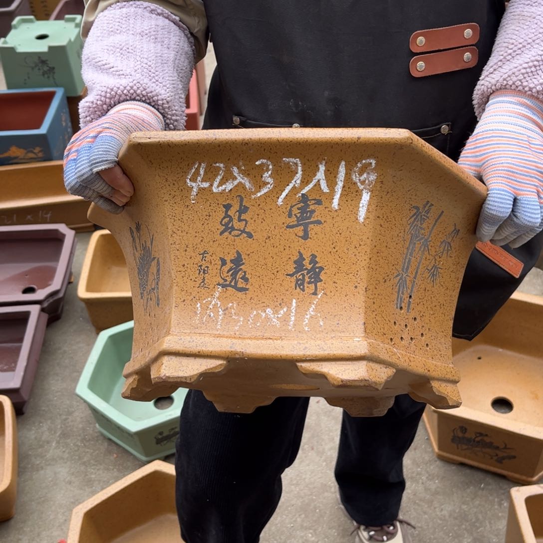 紫砂花盆盆景艺术